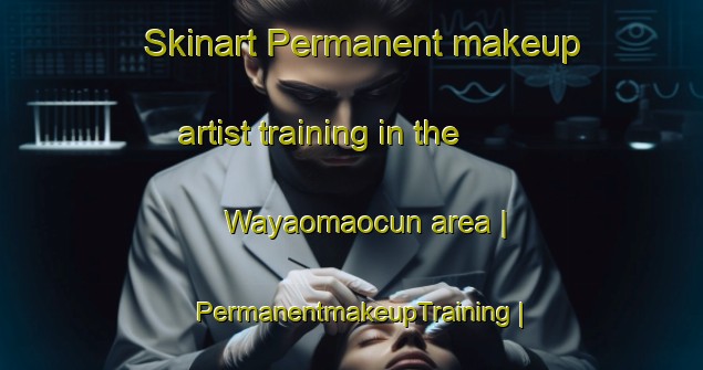 Skinart Permanent makeup artist training in the Wayaomaocun area | PermanentmakeupTraining | PermanentmakeupClasses | SkinartTraining-China